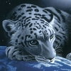 ������ ������������ SweetDreamer �� ����� 4ppc.ru