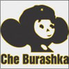 ������ ������������ tolikon �� ����� 4ppc.ru