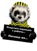  (avatar)  Sharam   4ppc.ru