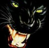 ������ ������������ wolverin.82 �� ����� 4ppc.ru