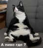 ������ ������������ slavakvs �� ����� 4ppc.ru