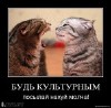 ������ ������������ Bas909 �� ����� 4ppc.ru