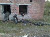������ ������������ Barklaiy �� ����� 4ppc.ru