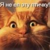 ������ ������������ vetalpockettt �� ����� 4ppc.ru