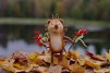 ������ ������������ Morggana �� ����� 4ppc.ru
