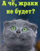 ������ ������������ kotik-ip �� ����� 4ppc.ru