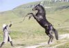 ������ ������������ ���� �� ����� 4ppc.ru