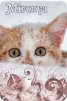 ������ ������������ mironya �� ����� 4ppc.ru