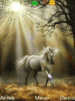 ������ ������������ Maximus3110 �� ����� 4ppc.ru