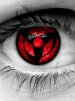 ������ ������������ ˸���� �� ����� 4ppc.ru
