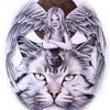 ������ ������������ karasir �� ����� 4ppc.ru