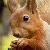 ������ ������������ Naigmasninc �� ����� 4ppc.ru