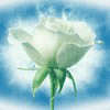 ������ ������������ slolavada �� ����� 4ppc.ru