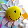 ������ ������������ oksya34 �� ����� 4ppc.ru