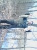 ������ ������������ evgenii1512 �� ����� 4ppc.ru