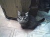 ������ ������������ wolk13 �� ����� 4ppc.ru