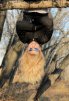 ������ ������������ Mashulka �� ����� 4ppc.ru