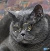 ������ ������������ SergeyF �� ����� 4ppc.ru