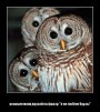 ������ ������������ Usan �� ����� 4ppc.ru