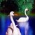 ������ ������������ Suevybumb �� ����� 4ppc.ru