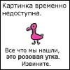 ������ ������������ asp1r1n �� ����� 4ppc.ru