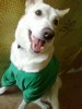 ������ ������������ keny333 �� ����� 4ppc.ru