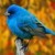 ������ ������������ Heismveme �� ����� 4ppc.ru