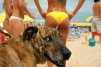 ������ ������������ Jekc �� ����� 4ppc.ru