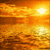 ������ ������������ anchous �� ����� 4ppc.ru
