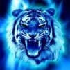 ������ ������������ Rasust �� ����� 4ppc.ru