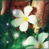 ������ ������������ LaurenSyd �� ����� 4ppc.ru