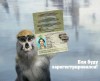 ������ ������������ vasekpetrovich �� ����� 4ppc.ru