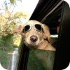 ������ ������������ nonamez_IV �� ����� 4ppc.ru
