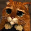 ������ ������������ mikhmodin �� ����� 4ppc.ru