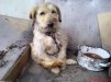 ������ ������������ laim78 �� ����� 4ppc.ru