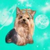 ������ ������������ Nata 777 �� ����� 4ppc.ru