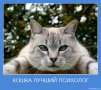 ������ ������������ vas123vas �� ����� 4ppc.ru
