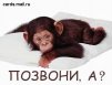 ������ ������������ mafija �� ����� 4ppc.ru