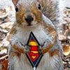 ������ (avatar) ������������ ladori �� ����� 4ppc.ru