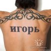 ������ ������������ niv-13 �� ����� 4ppc.ru