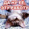 ������ ������������ odinochka78 �� ����� 4ppc.ru