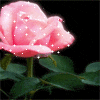 ������ ������������ natali19 �� ����� 4ppc.ru