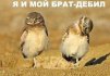 ������ ������������ Deform �� ����� 4ppc.ru