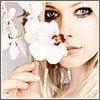 ������ ������������ bellsamara �� ����� 4ppc.ru