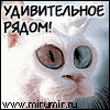 ������ ������������ Shultzh �� ����� 4ppc.ru