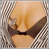 ������ ������������ svetlait �� ����� 4ppc.ru