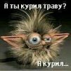 Аватар (avatar) пользователя petrgrisha на сайте 4ppc.ru