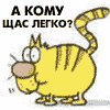 ������ ������������ svenbmw �� ����� 4ppc.ru