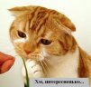 ������ ������������ 110982 �� ����� 4ppc.ru