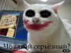 ������ ������������ maan �� ����� 4ppc.ru